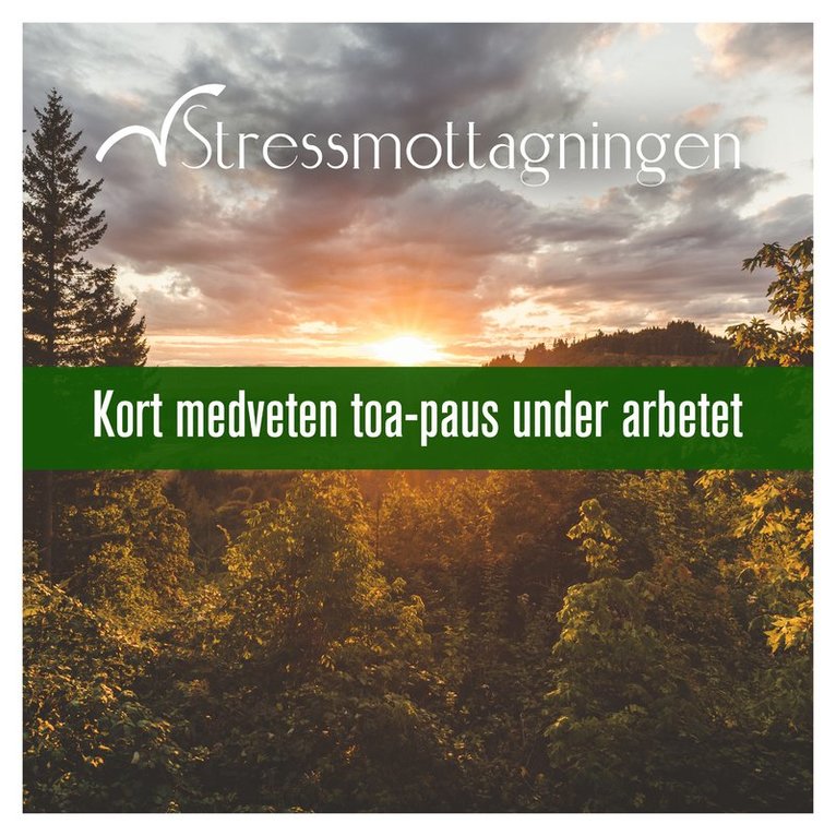 Stressmottagningen - Kort medveten toa-paus under arbetet, Ljudbok