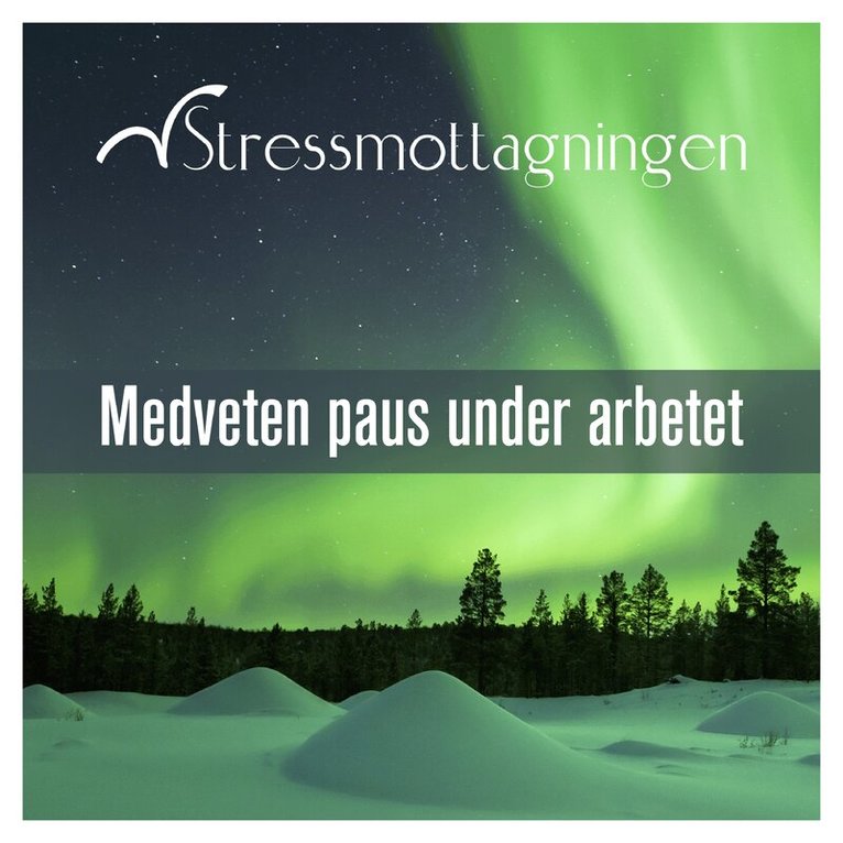 Stressmottagningen - Medveten paus under arbetet, Ljudbok