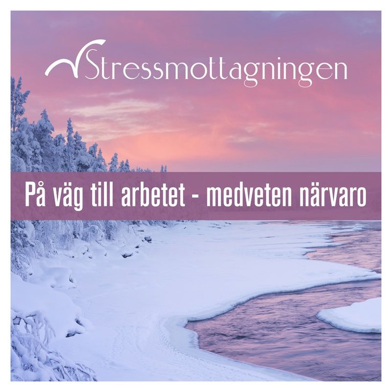 Stressmottagningen - På väg till arbetet – medveten närvaro, Ljudbok