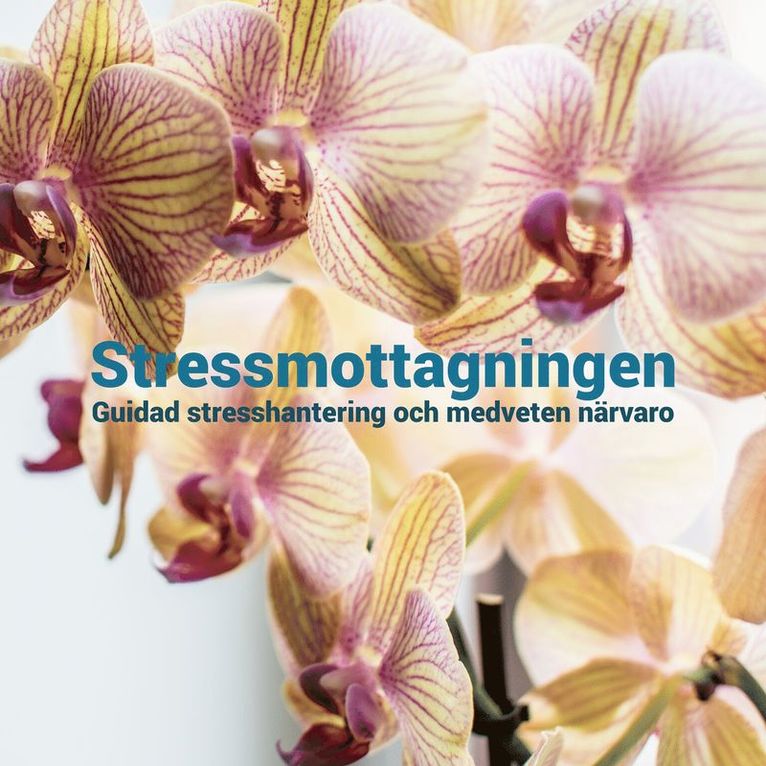 Stressmottagningen - Mindfulness: Guidad stresshantering och medveten närvaro, Ljudbok