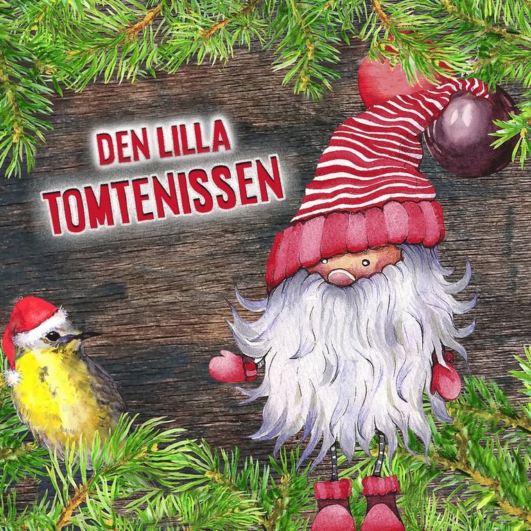 Agneta Bolme - Den lilla tomtenissen, Ljudbok