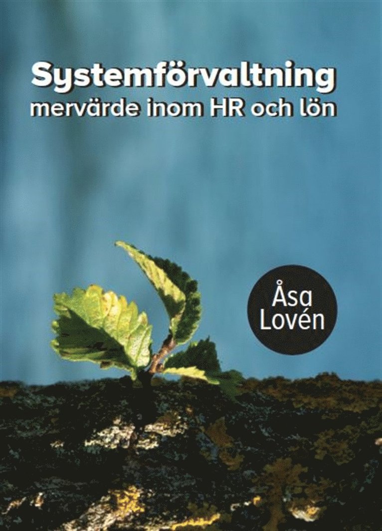 Åsa Lovén - Systemförvaltning - mervärde inom HR och lön, E-bok