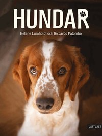 Hundar
