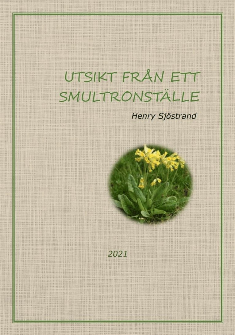 Henry Sjöstrand - Utsikt från ett smultronställe, E-bok