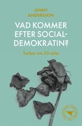Vad kommer efter socialdemokratin? : Tankar om 20-talet