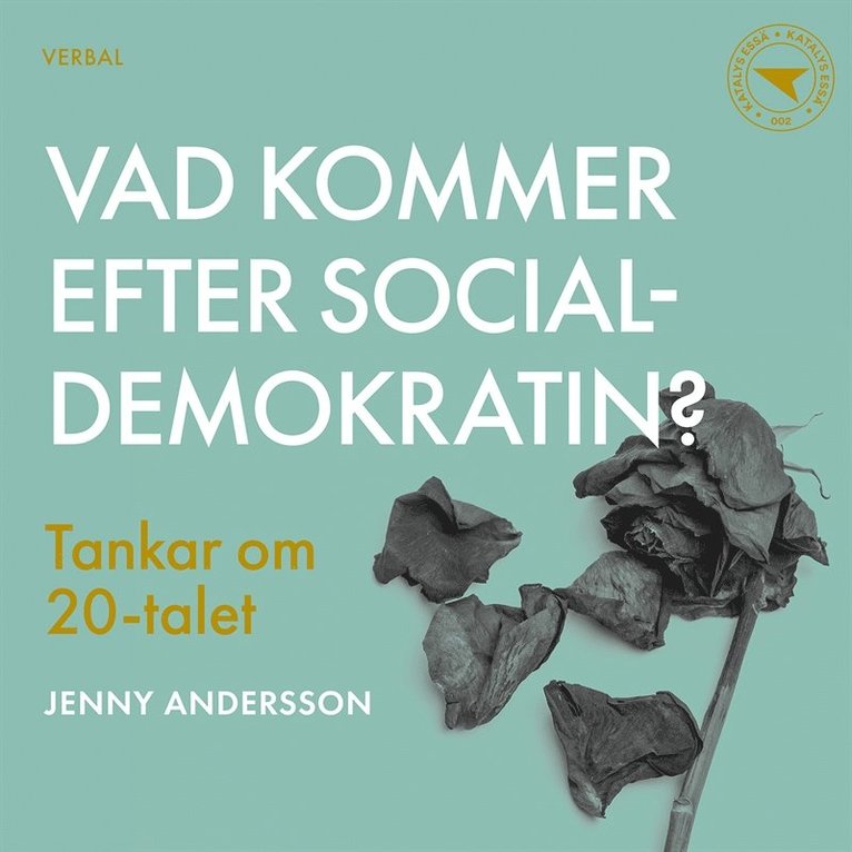 Jenny Andersson - Vad kommer efter socialdemokratin? : Tankar om 20-talet, Ljudbok