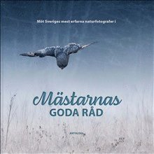 Camilla Noresson, Claes Grundsten, Anna Ulmestrand, Tore Hagman, Josefin Nilsson, Jonas Classon, Fatima Boukarchid, Lars Bygdemark, Isabella Chowra, Henrik Karlsson - Mästarnas goda råd, Inbunden