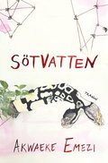 Stvatten