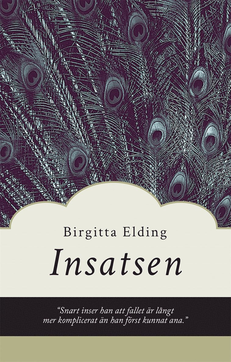 Birgitta Elding - Insatsen, E-bok