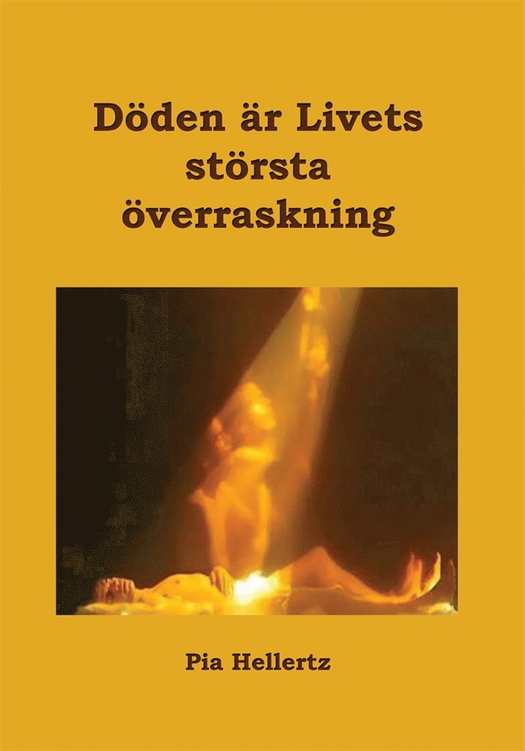 Pia Hellertz - Döden är Livets största överraskning, E-bok