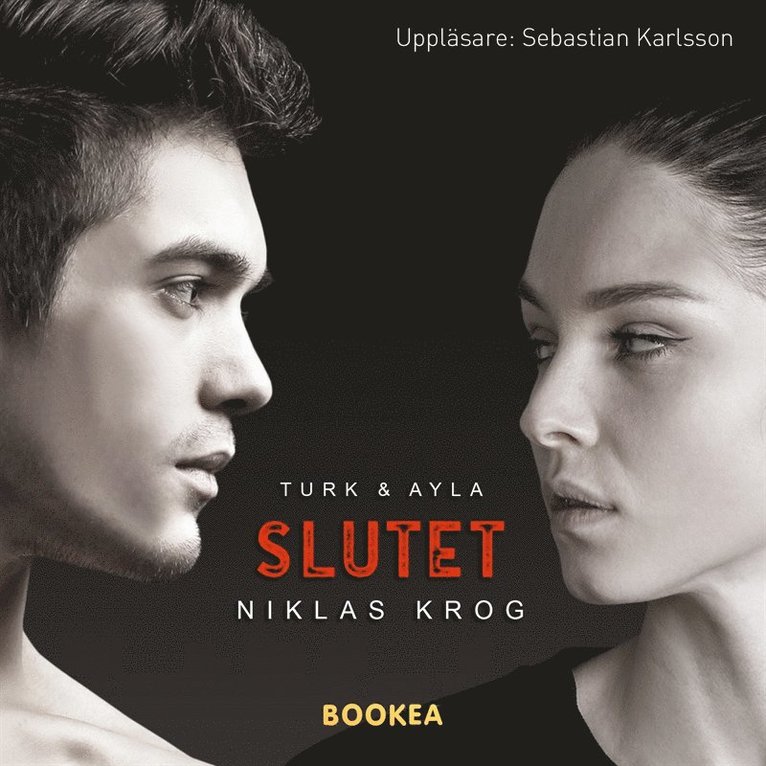 Niklas Krog - Slutet, Ljudbok