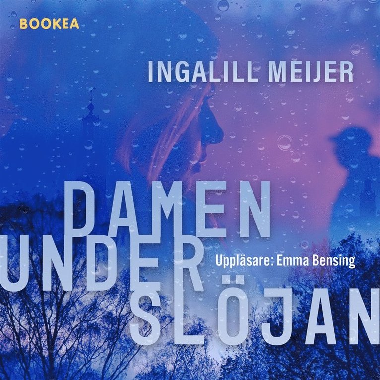 Ingalill Meijer - Damen under slöjan, Ljudbok