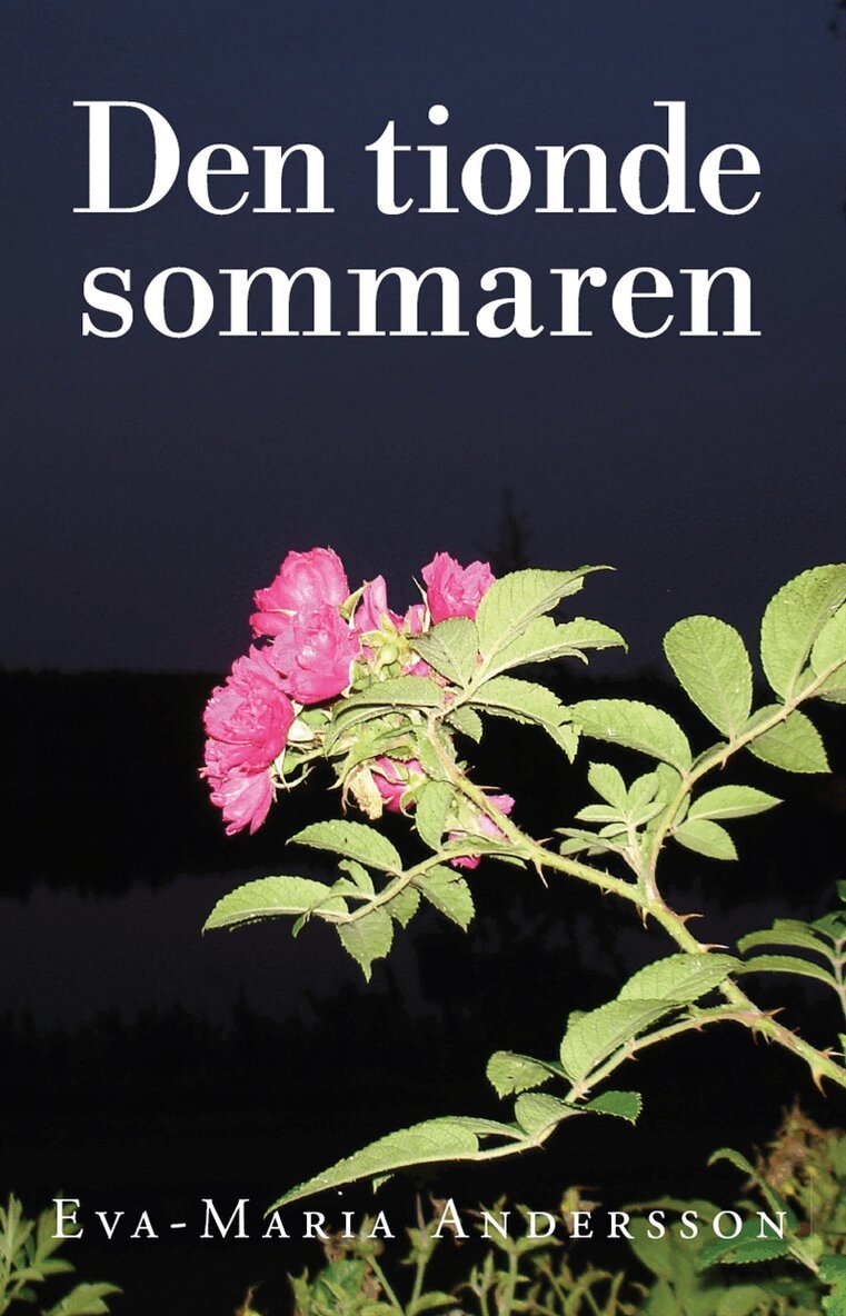 Eva-Maria Andersson - Den tionde sommaren, E-bok