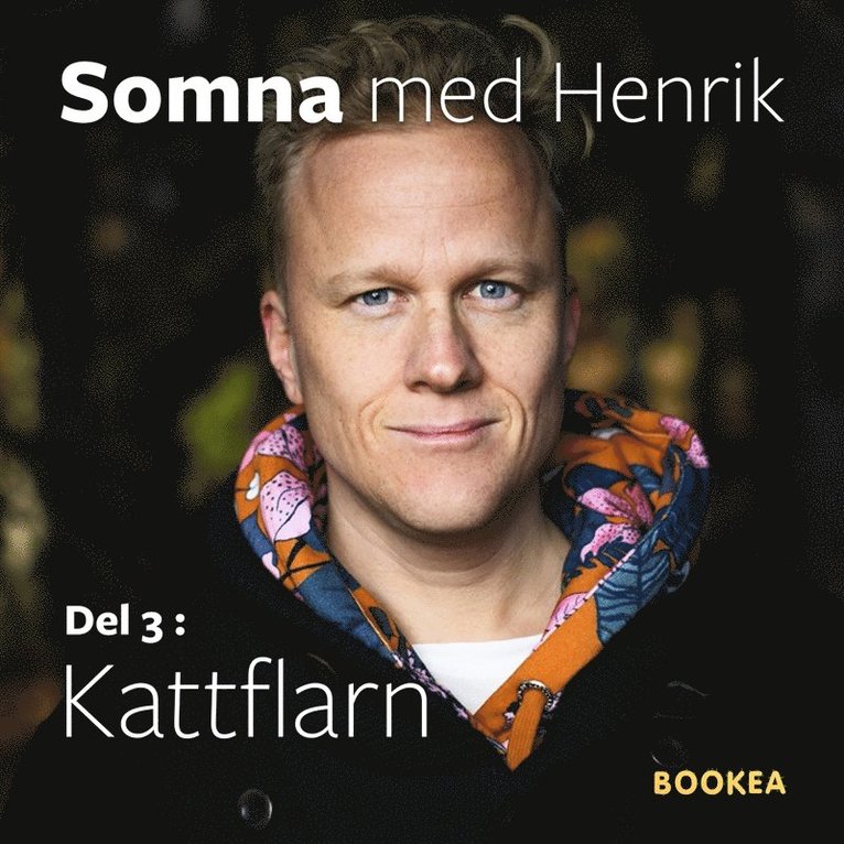 Henrik Ståhl - Kattflarn, Ljudbok