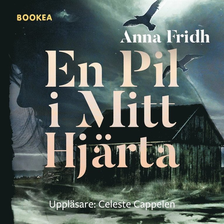 Anna Fridh - En pil i mitt hjärta, Ljudbok