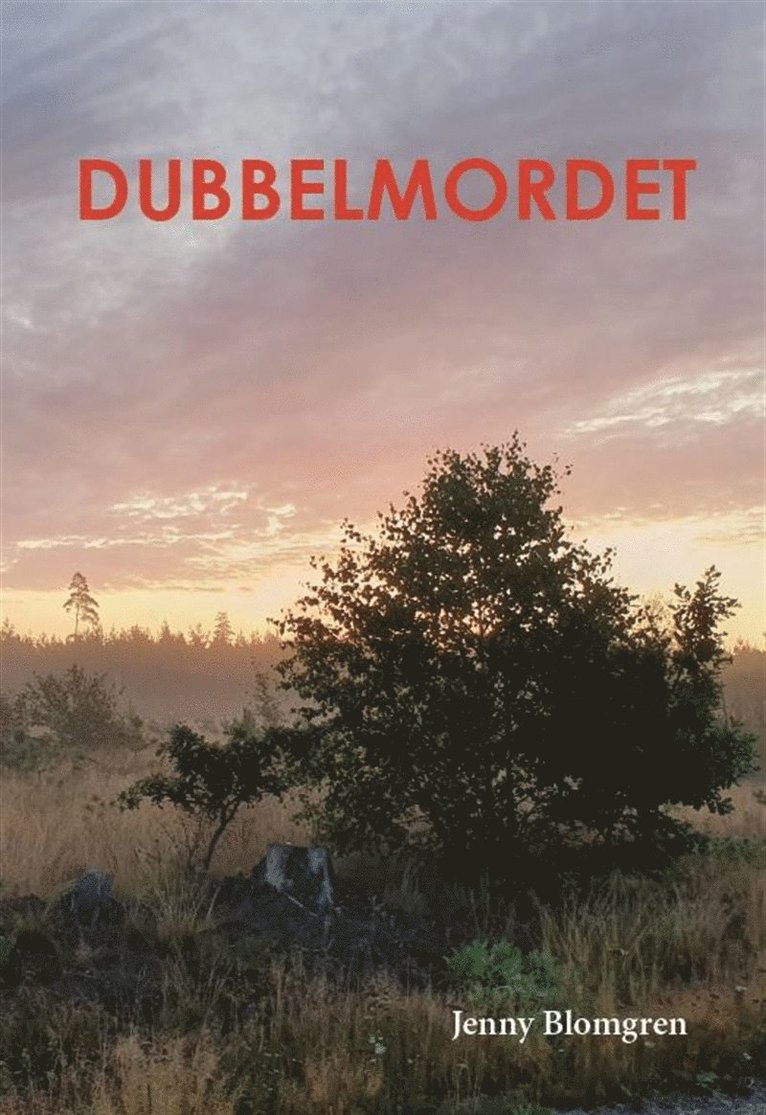 Jenny Blomgren - Dubbelmordet, E-bok
