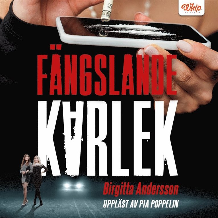 Birgitta Andersson - Fängslande kärlek, Ljudbok
