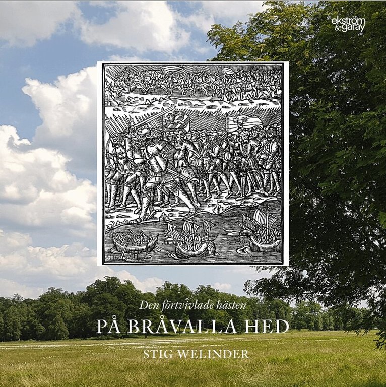 Stig Welinder - Den förtvivlade hästen på Bråvalla hed, Inbunden
