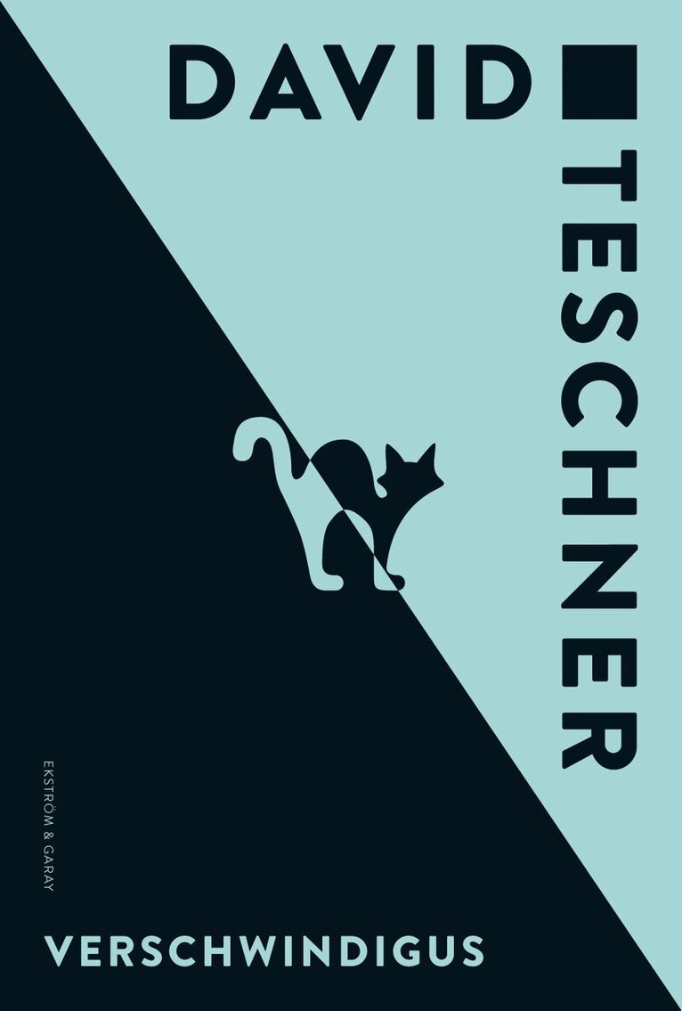 David Teschner - Verschwindigus, Häftad