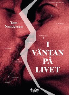 Tom Nandersen - I väntan på livet, E-bok