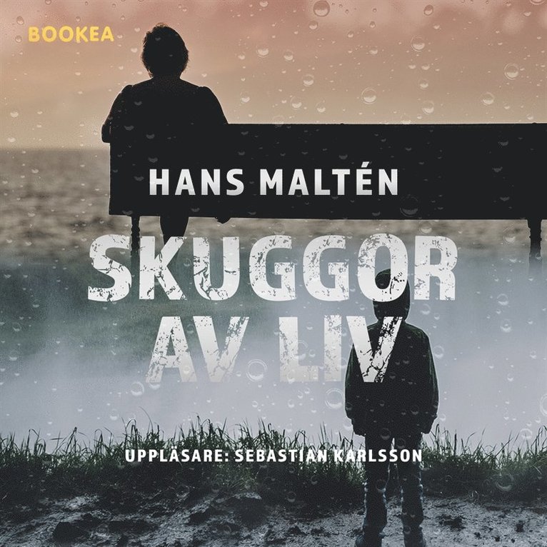 Hans Maltén - Skuggor av liv, Ljudbok
