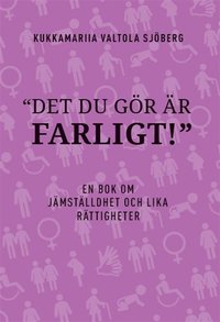 Det du gr r farligt : en bok om jmstlldhet och lika rttigheter