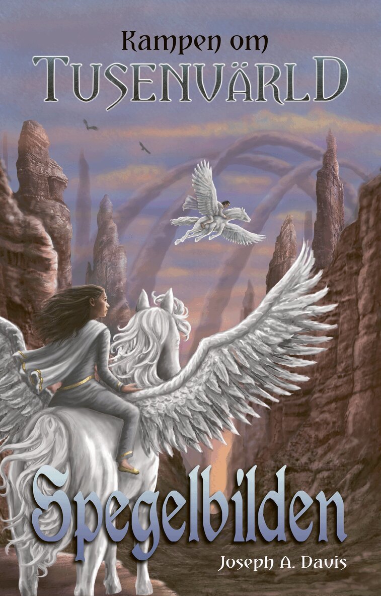 Joseph A. Davis - Spegelbilden, Häftad