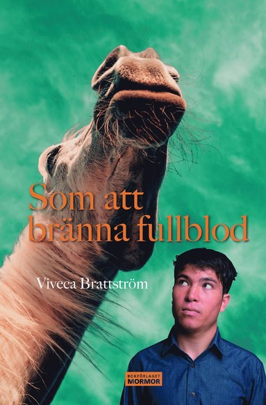 Viveca Brattström Som att bränna fullblod