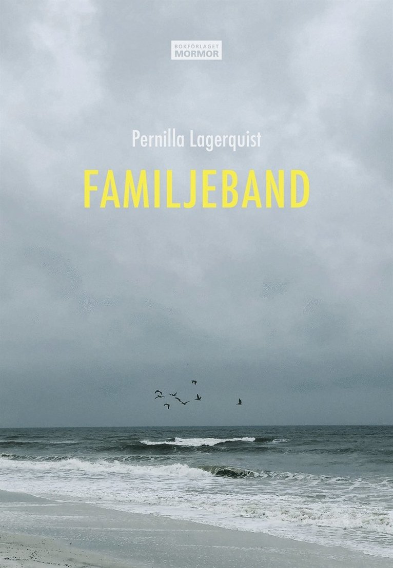 Pernilla Lagerquist, Håkan Olsson - Familjeband, E-bok