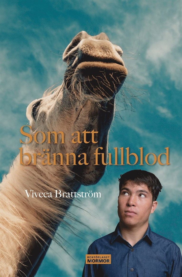 Viveca Brattström, Håkan Olsson - Som att bränna fullblod, E-bok