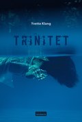 Trinitet