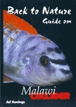 Ad Konings - Back to Nature guide om malawiciklider, Inbunden