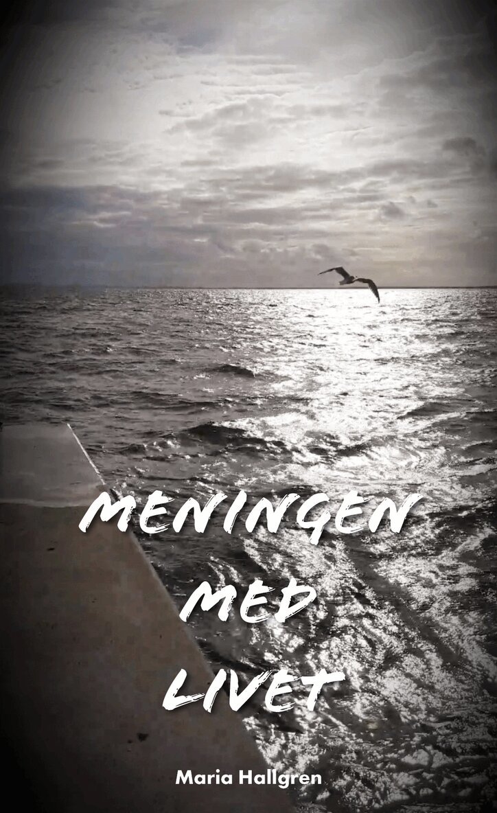 Maria Hallgren - Meningen med livet, E-bok