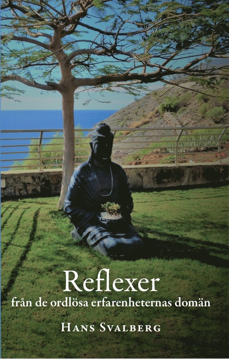 Hans Svalberg - Reflexer : från de ordlösa erfarenheternas domän, E-bok