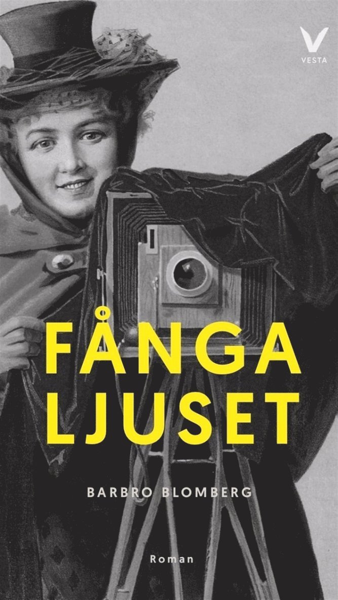 Barbro Blomberg - Fånga ljuset, E-bok
