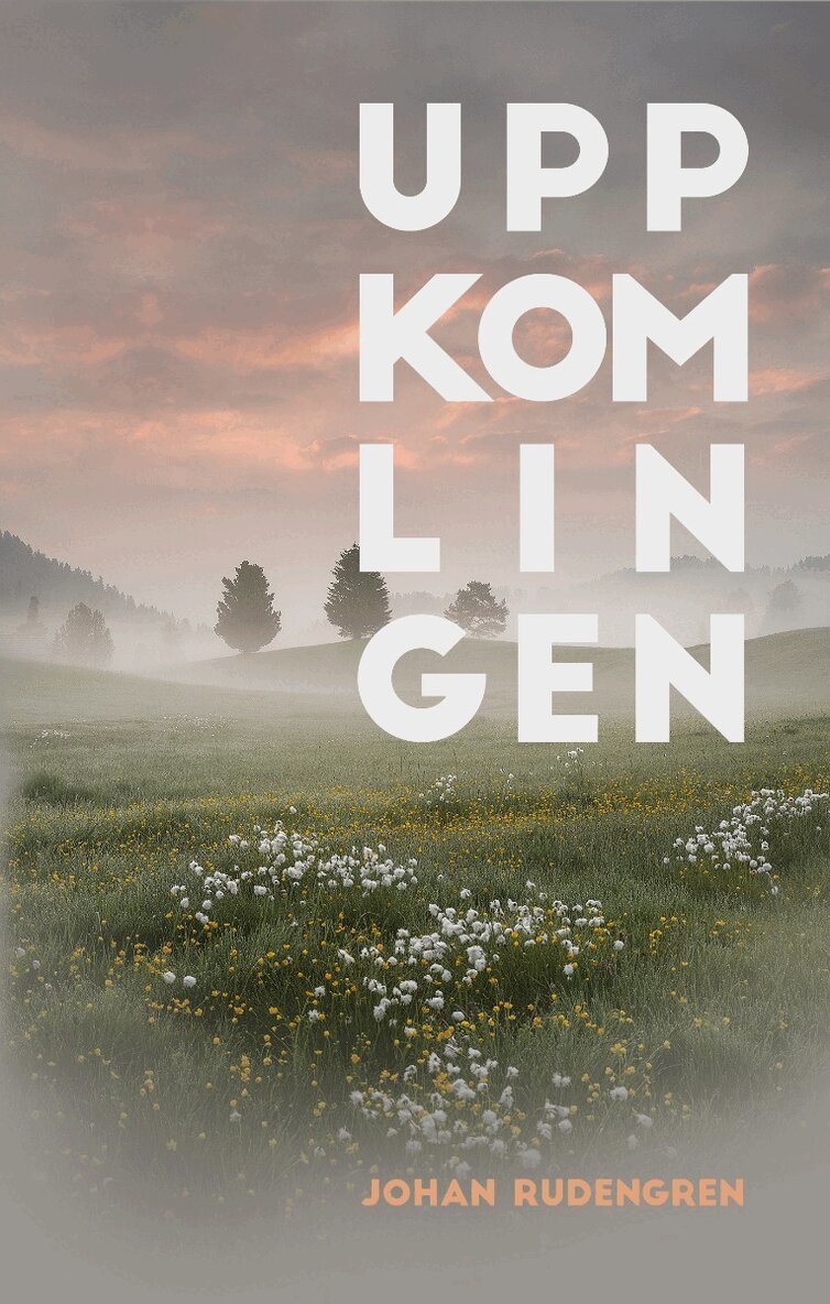 Johan Rudengren - Uppkomlingen, Häftad