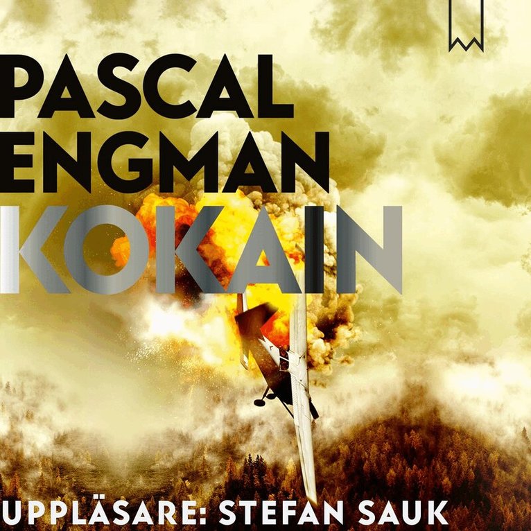Pascal Engman - Kokain, Ljudbok