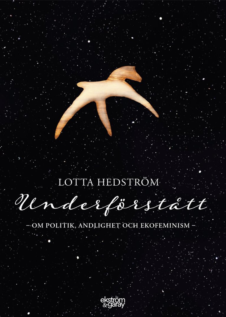 Lotta Hedström - Underförstått : om politik, andlighet och ekofeminism, Häftad