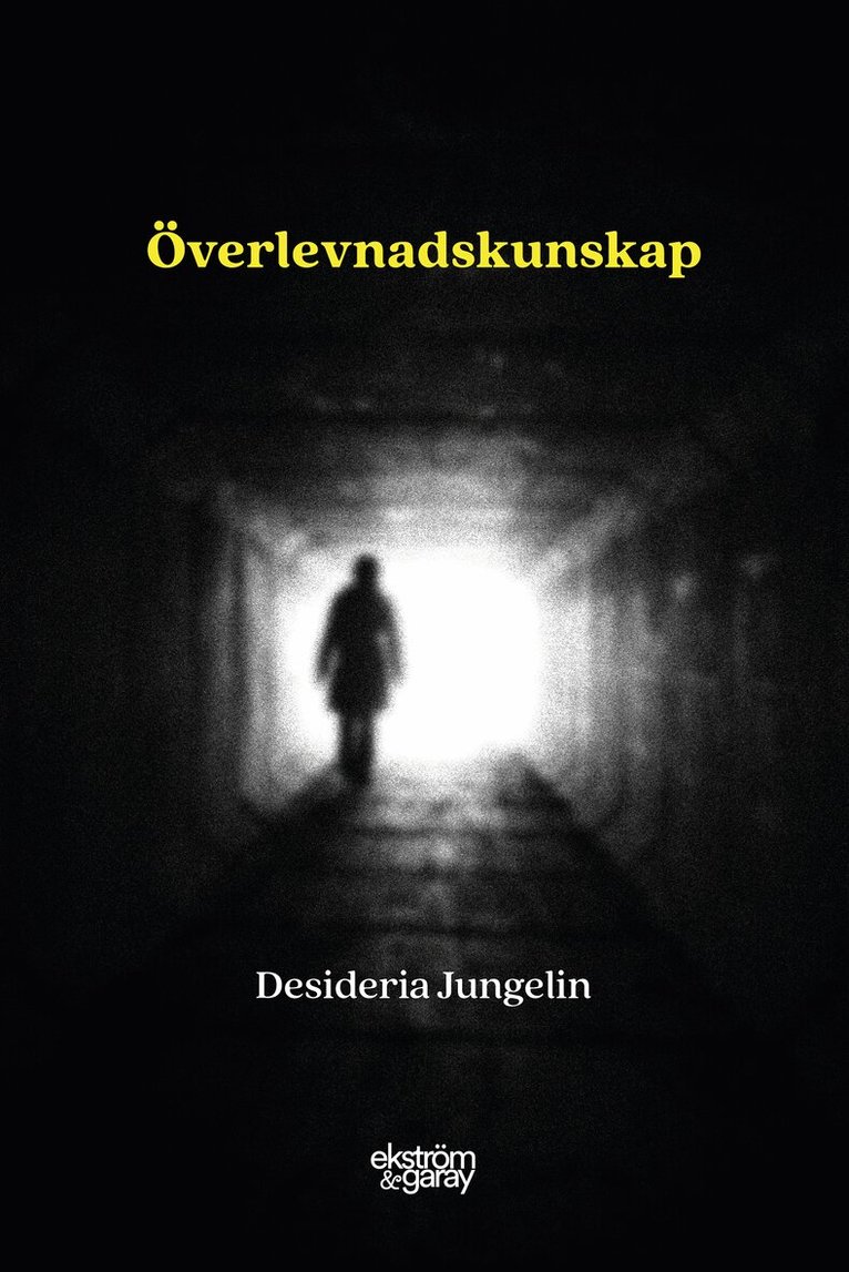 Desideria Jungelin - Överlevnadskunskap, Häftad