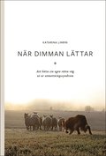 Nr dimman lttar : att hitta sin egen rtta vg ut ur utmattningssyndrom