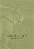 Järvelgrisen
