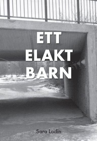 Sara Lodin Ett elakt barn