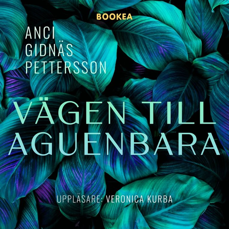 Anci Gidnäs-Pettersson - Vägen till Aguenbara, Ljudbok