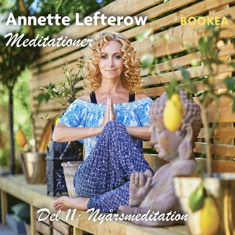 Annette Lefterow - Nyårsmeditation, Ljudbok