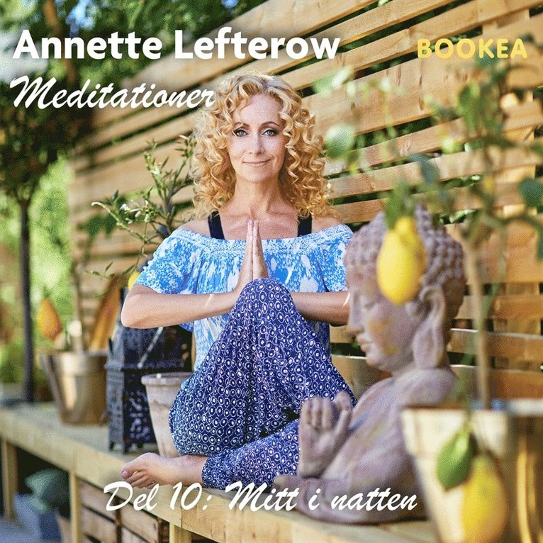 Annette Lefterow - Mitt i natten, Ljudbok