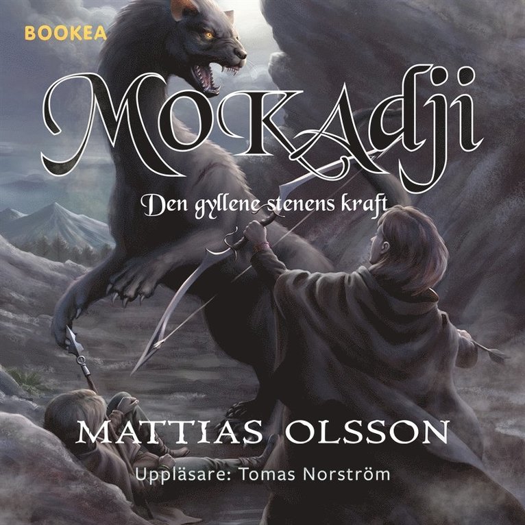 Mattias Olsson - Den gyllene stenens kraft, Ljudbok