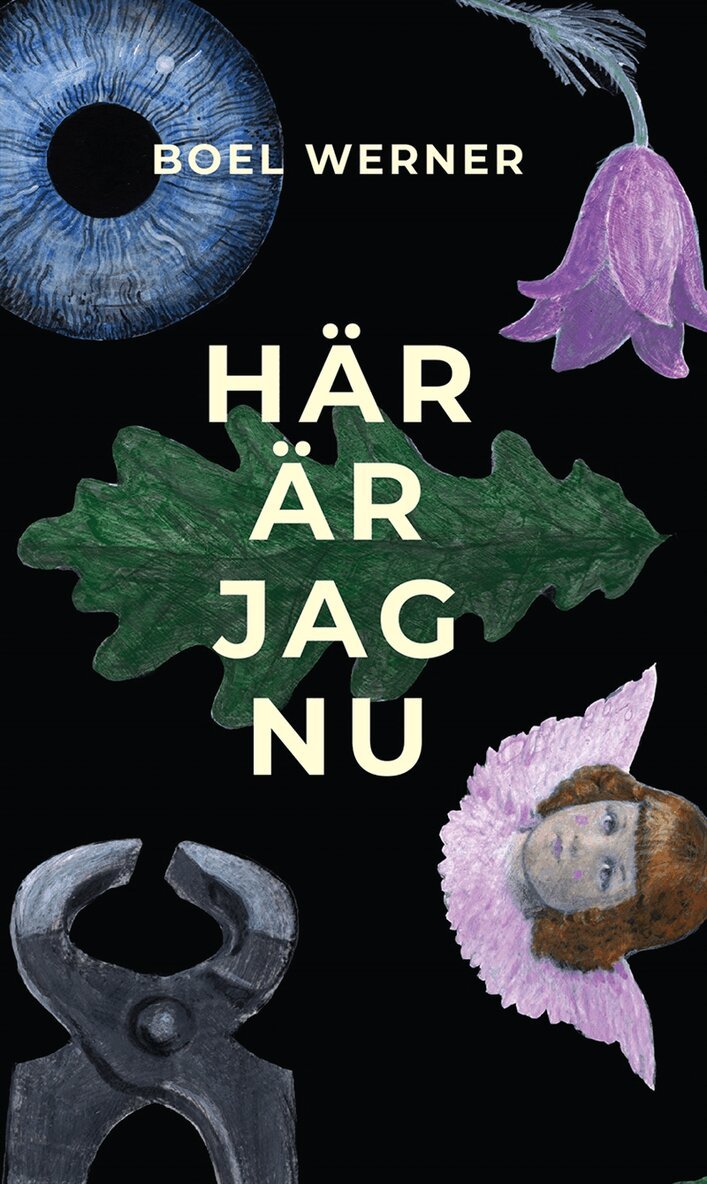 Boel Werner - Här är jag nu, E-bok