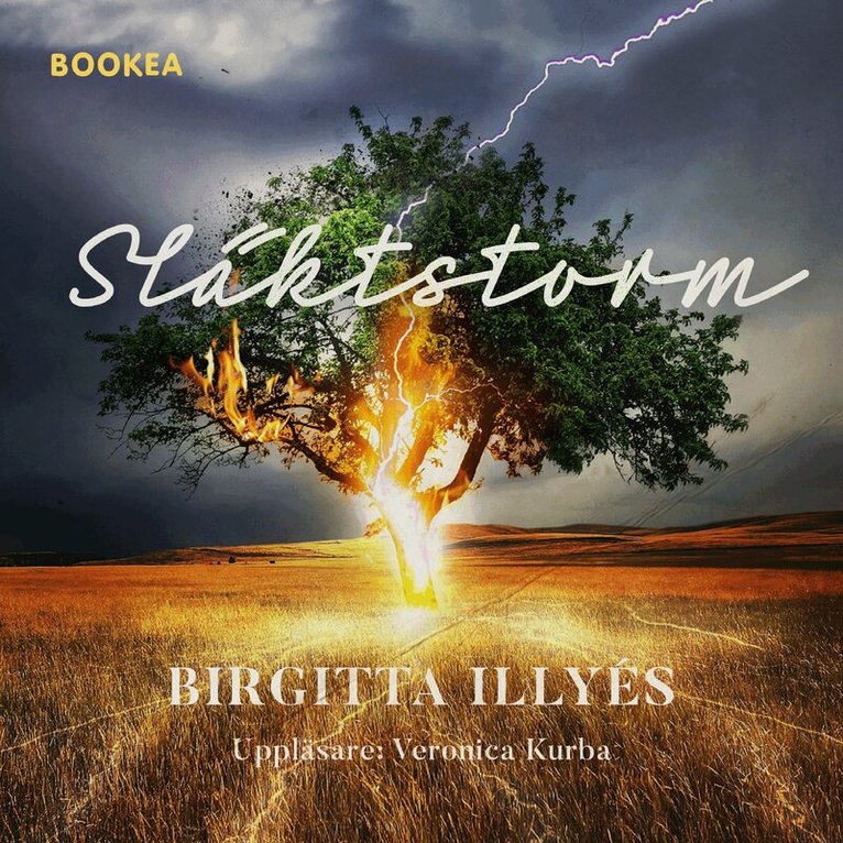 Birgitta Illyés - Släktstorm, Ljudbok