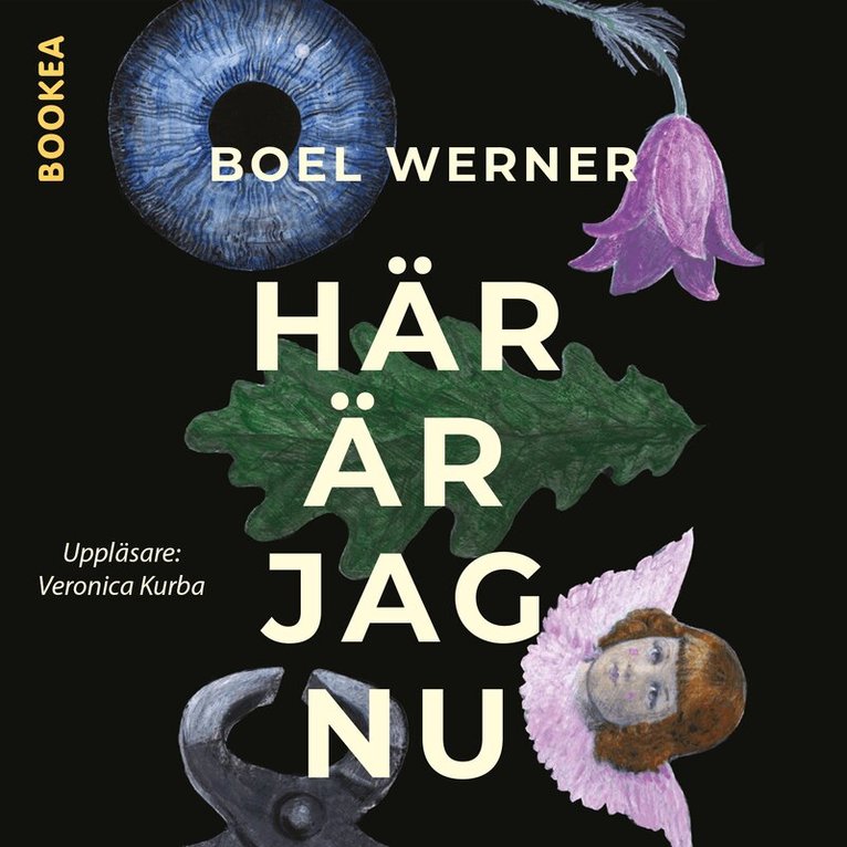 Boel Werner - Här är jag nu, Ljudbok