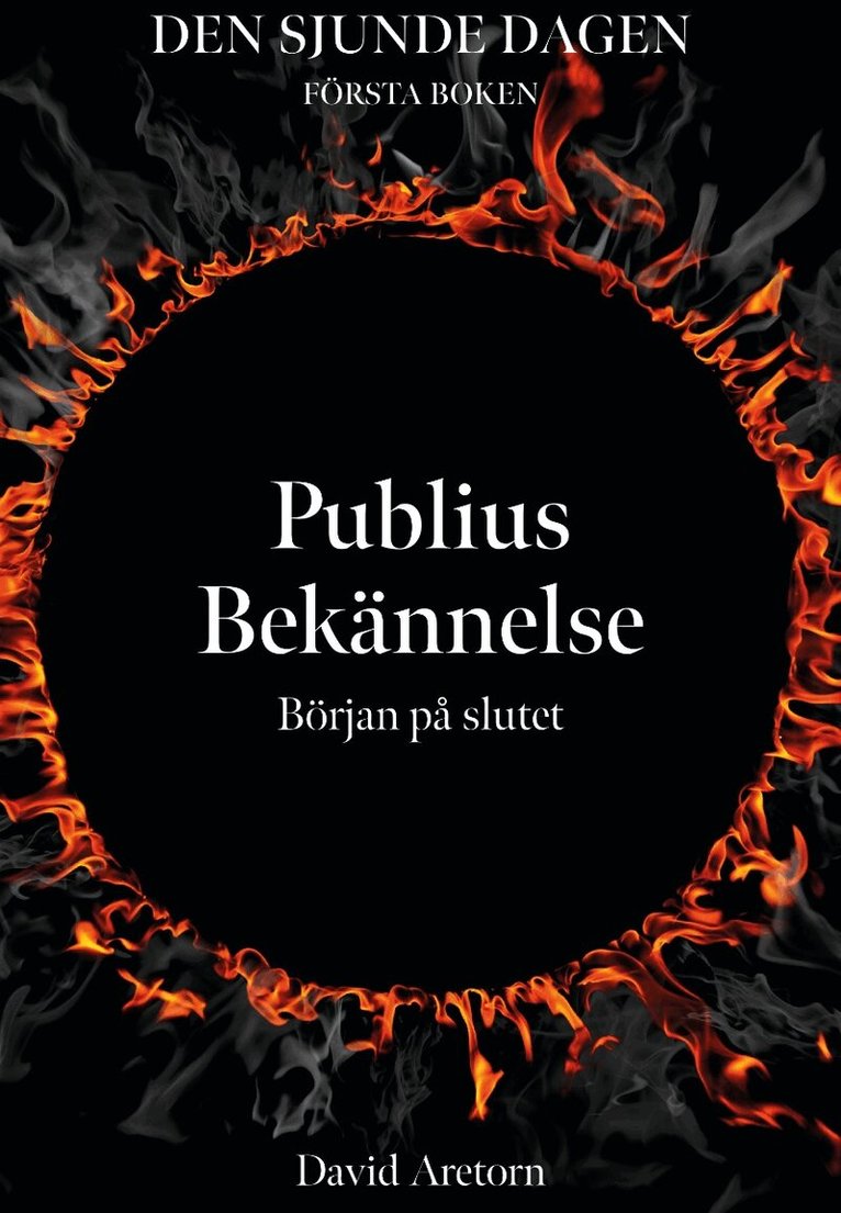 David Aretorn - Publius bekännelse : början på slutet, Häftad